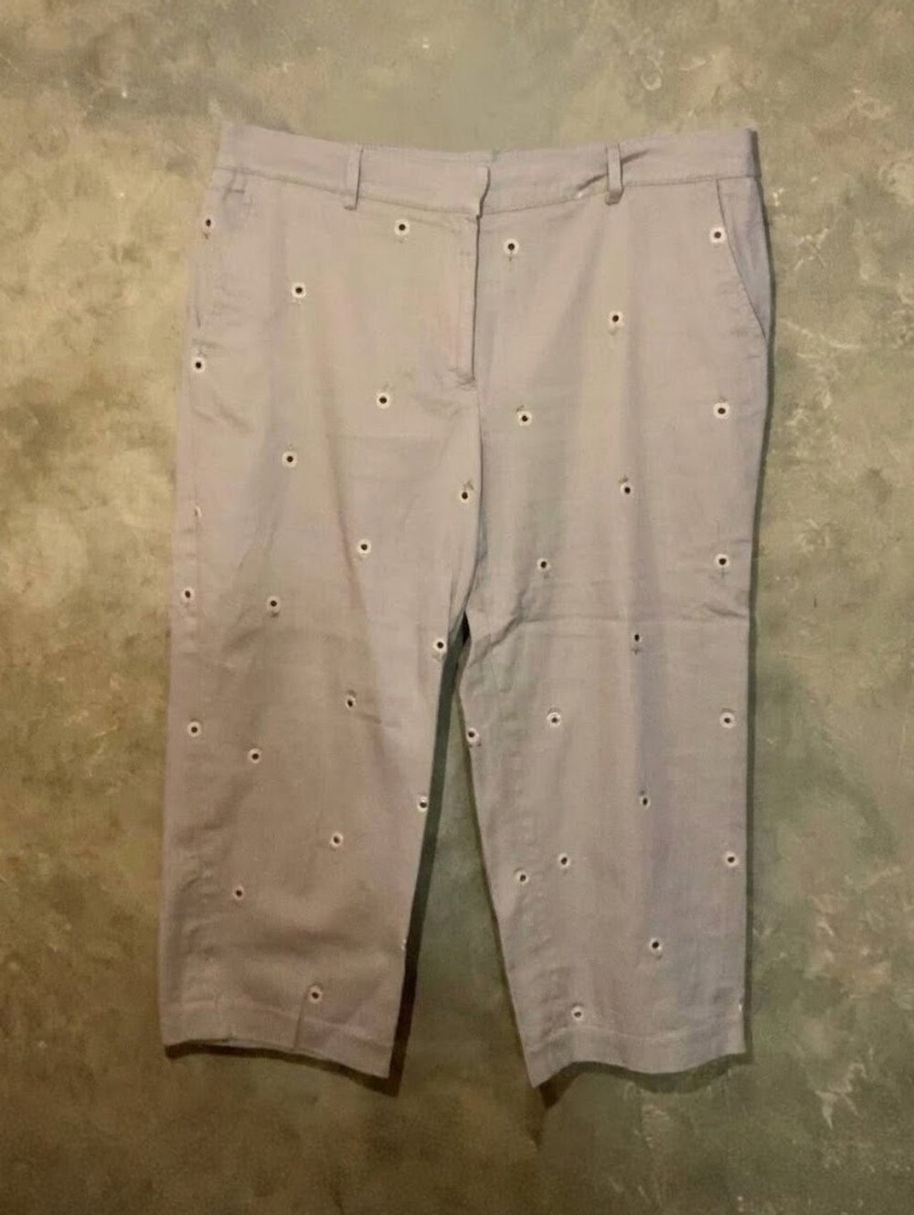 Briggs New York Embroidered Sunflower Cropped Chinos Capri Pants Tan 14